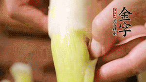 茭白剝去外殼，先切片再切絲。